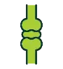 Bone Health