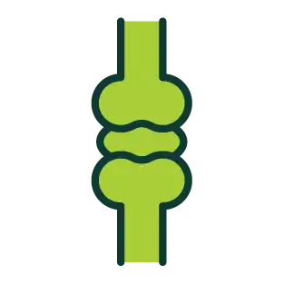 Bone Health