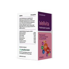 Wellvita Multivitamin Capsule - Plant Powered vitamins and minerals for overall health in Pakistan