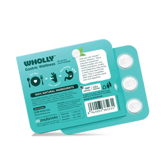 Wholly Gastric Wellness Refreshing minty escape from heartburn and acidity price in Pakistan